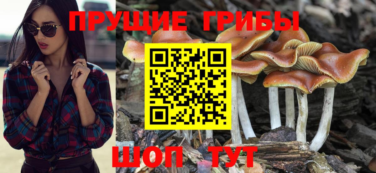Псилоцибиновые грибы мухоморы Татарск