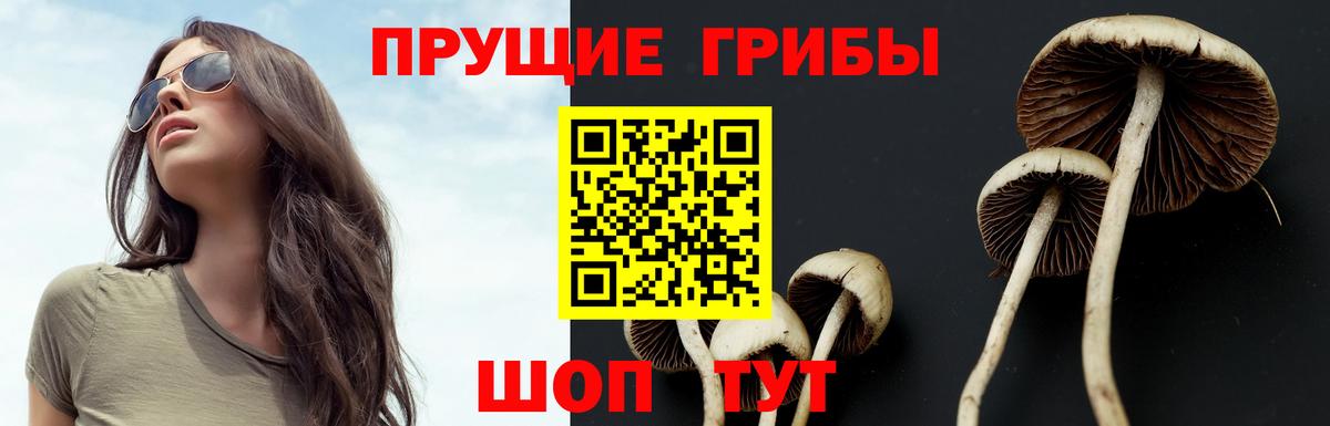 Галлюциногенные грибы Psilocybe  Вход с VPN  Татарск 